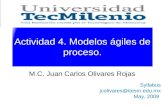 Actividad 4. Modelos ágiles de proceso. M.C. Juan Carlos Olivares Rojas Syllabus jcolivares@itesm.edu.mx May, 2009.