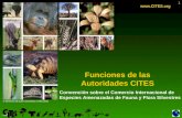 1 Funciones de las Autoridades CITES  © Derechos de autor Secretaría CITES 2010 Convención sobre el Comercio Internacional de Especies Amenazadas.