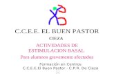 C.C.E.E. EL BUEN PASTOR ACTIVIDADES DE ESTIMULACION BASAL Para alumnos gravemente afectados Formación en Centros C.C.E.E.El Buen Pastor - C.P.R. De Cieza.
