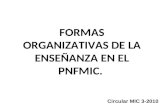 FORMAS ORGANIZATIVAS DE LA ENSEÑANZA EN EL PNFMIC. Circular MIC 3-2010.