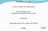 Proyecto de vida Liceo mixto la milagrosa Presentado por: Katherine Balanta Caicedo Decimo Santiago de Cali, Junio de 2012 SENA. siguiente.
