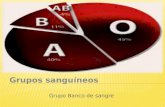 Grupo Banco de sangre.  Otros nombres: - Grupo ABO) - Factor RH  Usos donantes y receptores para la transfusión sanguínea La determinación de estos.