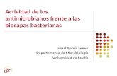 Actividad de los antimicrobianos frente a las biocapas bacterianas Isabel García Luque Departamento de Microbiología Universidad de Sevilla.