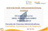 SOCIOLOGÍA ORGANIZACIONAL 102056 Director del curso: ARIEL PINEDA NAVARRO Mayo de 2014.