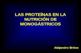 LAS PROTEÍNAS EN LA NUTRICIÓN DE MONOGÁSTRICOS Alejandro Britos.