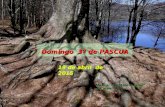 19 de abril de 2015 Domingo 3º de PASCUA Música: “Cantate Domino” d’A. Pärt.