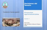 Docente: Ing. Jonatán Edward Rojas Polo Proyectos Agroindustriales Decisiones del Tamaño Sesión 7 1.