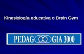 Kinesiología educativa o Brain Gym. Kinesiología educativa Es el estudio del movimiento y su relación con el aprendizaje de todo el cerebro. Es también.
