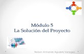 Módulo 5 La Solución del Proyecto Nelson Armando Agudelo Vanegas.