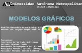 Modelos Matemáticos en Biología I Asesor: Dr. Miguel Ángel Armella Presentan: Constante Pérez Luis Guillermo Estrada Sánchez Iveth Hernández Gorrosquieta.
