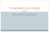 DR. SCROCA ADRIAN TUMORES DE PENE. ANATOMIA PENEANA.