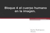 Bloque 4 el cuerpo humano en la imagen. Karla Rodriguez Rosas.
