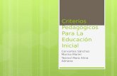 Criterios Pedagógicos Para La Educación Inicial Cervantes Sánchez Marina Mariel Tezmol Mora Alma Adriana.
