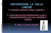 UNIVERSIDAD LA SALLE CANCUN  GALVÀN GARCÌA LEISLY ARACELI  COMUNICACIÒN INTERAURICULAR Y TRANSPOSICIÒN DE LOS GRANDES VASOS  DRA. GLADYS RUPAY 1.