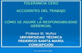 Autor: Manuel Muñoz Astudillo TOLERANCIA CERO ACCIDENTES DEL TRABAJO O CÓMO SE ASUME LA RESPONSABILIDAD GERENCIAL Profesor M. Muñoz UNIVERSIDAD TÉCNICA.