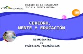 CEREBRO, MENTE Y EDUCACIÓN ESTUDIANTESVS PRÁCTICAS PEDAGÓGICAS COLEGIO DE LA INMACULADA ESCUELA FUERZA NATURAL.