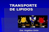 TRANSPORTE DE LIPIDOS Dra. Angélica Girón. DEFINICION  Complejos de lípidos y proteínas, responsables del transporte de TAG, Fosfolípidos, colesterol.