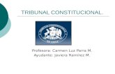 TRIBUNAL CONSTITUCIONAL. Profesora: Carmen Luz Parra M. Ayudante: Javiera Ramírez M.