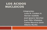 LOS ÁCIDOS NUCLEICOS Integrantes: - Luisa M. Cordero N. - Hernán Azofeifa - José Ignacio Sánchez - Juan Félix Villalobos - Carlos Mauricio Girón - Alberto.