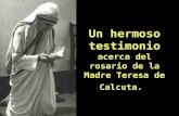 Un hermoso testimonio acerca del rosario de la Madre Teresa de Calcuta. Un hermoso testimonio acerca del rosario de la Madre Teresa de Calcuta.