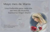 Mayo mes de María Una Reflexión para cada día del Mes de Nuestra Santísima Virgen María Textos escritos por: José Pedro Manglano Castellary (Sacerdote)
