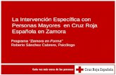 La Intervención Específica con Personas Mayores en Cruz Roja Española en Zamora Programa “Zamora en Forma” Roberto Sánchez Cabrero, Psicólogo.