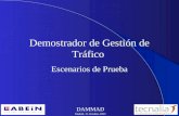 DAMMAD Madrid, 31-Octubre-2003 Demostrador de Gestión de Tráfico Escenarios de Prueba.