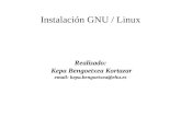 Instalación GNU / Linux Realizado: Kepa Bengoetxea Kortazar email: kepa.bengoetxea@ehu.es.