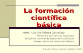La formación científica básica Mtro. Ricardo Valdez González Dirección de Ciencias Naturales Dirección General de Desarrollo Curricular Subsecretaría de.