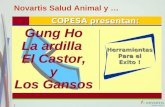 1 Novartis Salud Animal y … COPESA presentan: Herramientas Para el Exito ! Gung Ho La ardilla El Castor, y Los Gansos Gung Ho La ardilla El Castor, y Los.