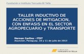 TALLER INDUCTIVO DE ACCIONES DE MITIGACION, CON ENFASIS EN EL SECTOR AGROPECUARIO y TRANSPORTE Hernan Carlino - ITDT Asuncion, Paraguay, 10 y 11 de julio.