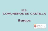 IES COMUNEROS DE CASTILLA Burgos. PAEU (2013/2014)