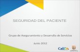 SEGURIDAD DEL PACIENTE Grupo de Aseguramiento y Desarrollo de Servicios Junio 2012.
