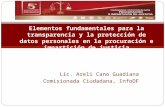 Lic. Areli Cano Guadiana Comisionada Ciudadana, InfoDF Elementos fundamentales para la transparencia y la protección de datos personales en la procuración.
