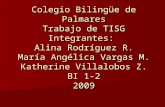 Colegio Bilingüe de Palmares Trabajo de TISG Integrantes: Alina Rodríguez R. María Angélica Vargas M. Katherine Villalobos Z. BI 1-2 2009.