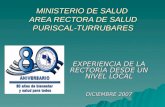 MINISTERIO DE SALUD AREA RECTORA DE SALUD PURISCAL-TURRUBARES EXPERIENCIA DE LA RECTORÍA DESDE UN NIVEL LOCAL DICIEMBRE 2007.