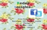 Redes sociales. Cruz Orta Karen. Paniagua Hernández Leslie Paola. Grupo : 202 Equipo : 202e17.