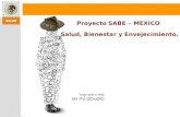 Proyecto SABE – MEXICO Salud, Bienestar y Envejecimiento.
