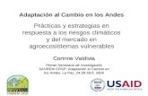Adaptación al Cambio en los Andes Prácticas y estrategias en respuesta a los riesgos climáticos y del mercado en agroecosistemas vulnerables Corinne Valdivia.