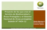 Proyecto de ley que crea el Servicio de Biodiversidad y Áreas Protegidas y el Sistema Nacional de Áreas protegidas Boletín N° 9404-12 Flavia Liberona C.