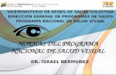NORMAS DEL PROGRAMA NACIONAL DE SALUD VISUAL VICEMINISTERIO DE REDES DE SALUD COLECTIVA DIRECCIÓN GENERAL DE PROGRAMAS DE SALUD PROGRAMA NACIONAL DE SALUD.