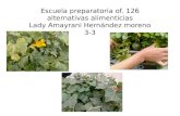 Escuela preparatoria of. 126 alternativas alimenticias Lady Amayrani Hernández moreno 3-3.