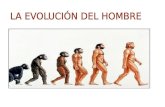 Charles Darwin Charles Darwin elaboró su teoría de la selección natural, que se convertiría en el fundamento de la teoría de la evolución Según la teoría.