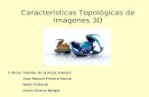 Características Topológicas de Imágenes 3D T-45 by: Damián de la Rosa Gilabert Jose Manuel Pereira García Nabil Chiboub Jesús Gómez Melgar.
