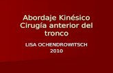 LISA OCHENDROWITSCH 2010 Abordaje Kinésico Cirugía anterior del tronco.