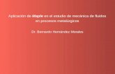 Aplicación de Maple en el estudio de mecánica de fluidos en procesos metalúrgicos Dr. Bernardo Hernández Morales.