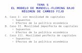 TEMA 5 EL MODELO DE MUNDELL-FLEMING BAJO RÉGIMEN DE CAMBIO FIJO A.Caso I: sin movilidad de capitales Supuestos Efectos de la política económica B.Caso.