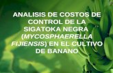 ANALISIS DE COSTOS DE CONTROL DE LA SIGATOKA NEGRA (MYCOSPHAERELLA FIJIENSIS) EN EL CULTIVO DE BANANO.