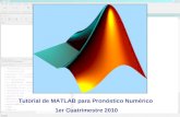 Tutorial de MATLAB para Pronóstico Numérico 1er Cuatrimestre 2010.