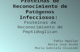 Proteínas de Reconocimiento de Patógenos Infecciosos: Proteínas de Reconocimiento de Peptidoglican Pablo Aguilar Maria Jose Acuña Maria Gabriela Alvarado.